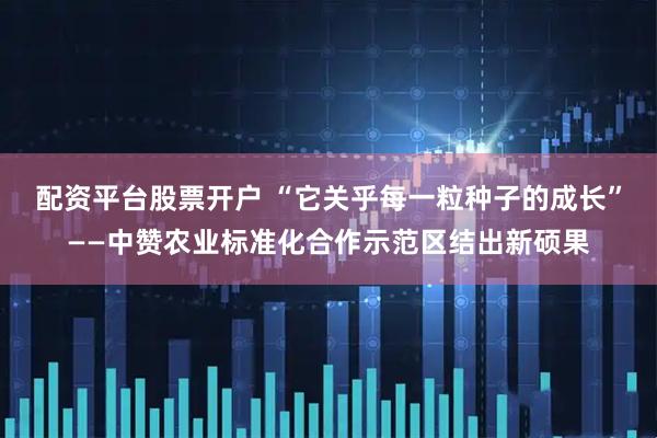 配资平台股票开户 “它关乎每一粒种子的成长”——中赞农业标准化合作示范区结出新硕果